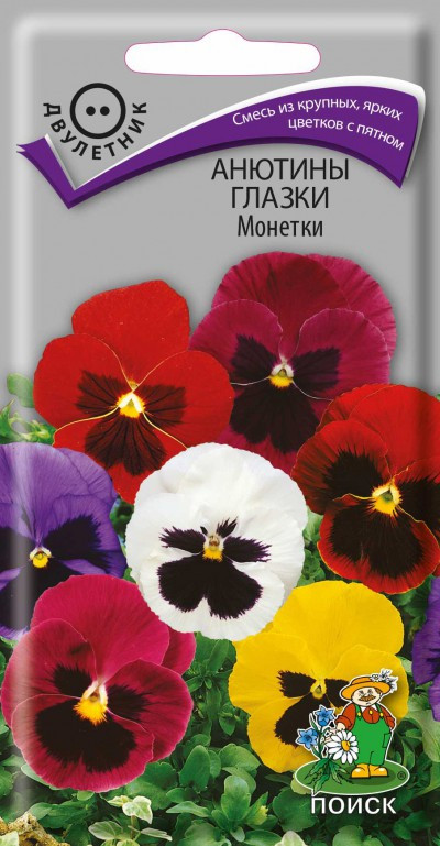 Виола «Монетки» | Поиск