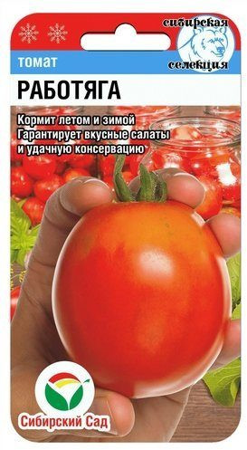 Томат «Работяга» | Сибирский Сад