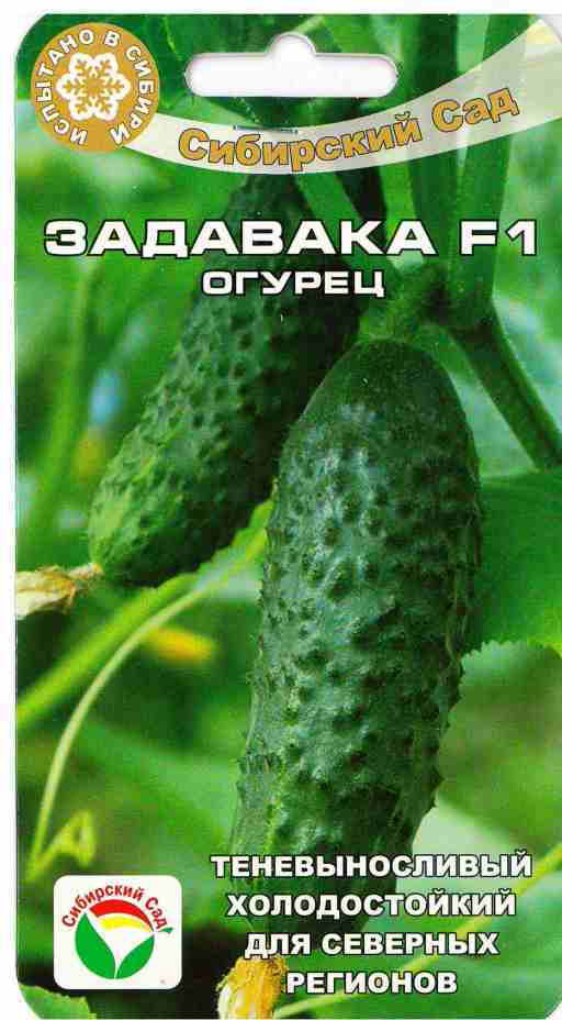 Огурец «Задавака F1» | Сибирский Сад