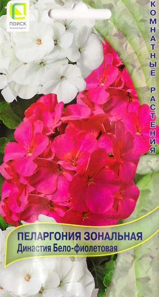 Пеларгония «Династия Бело-фиолетовая» | Поиск