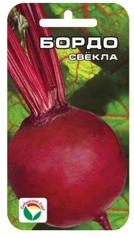 Свекла «Бордо» | Сибирский Сад