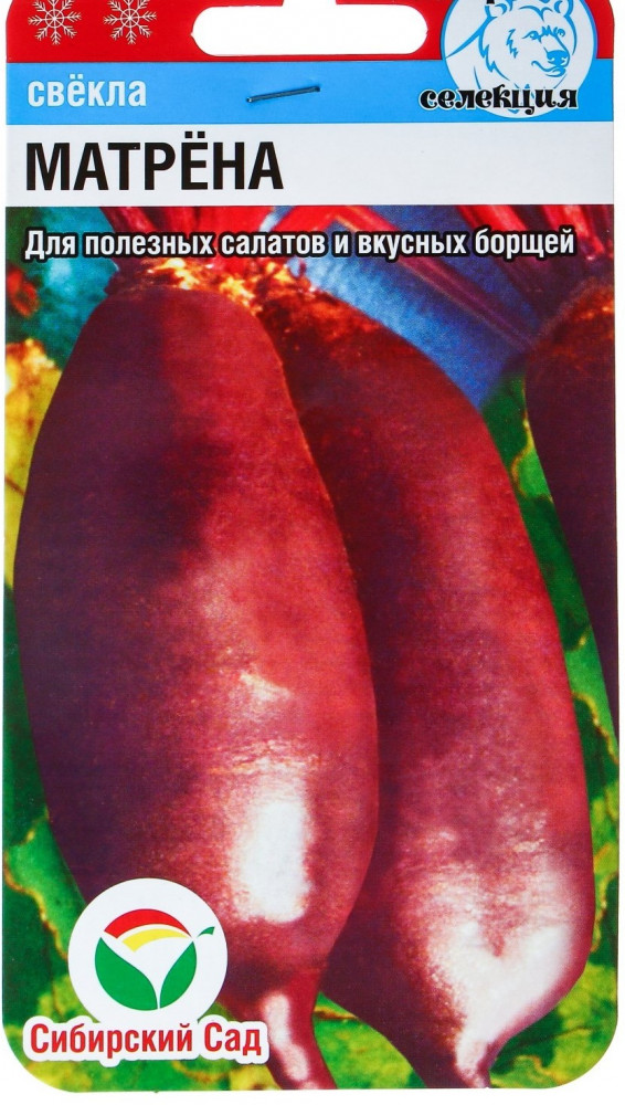 Свекла «Матрена» | Сибирский Сад