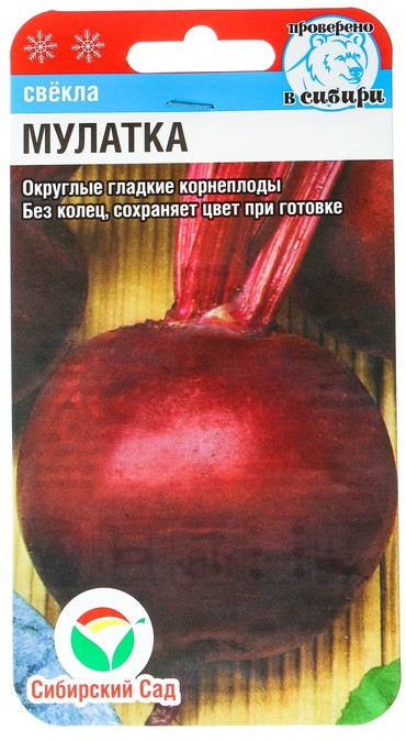 Свекла «Мулатка» | Сибирский Сад