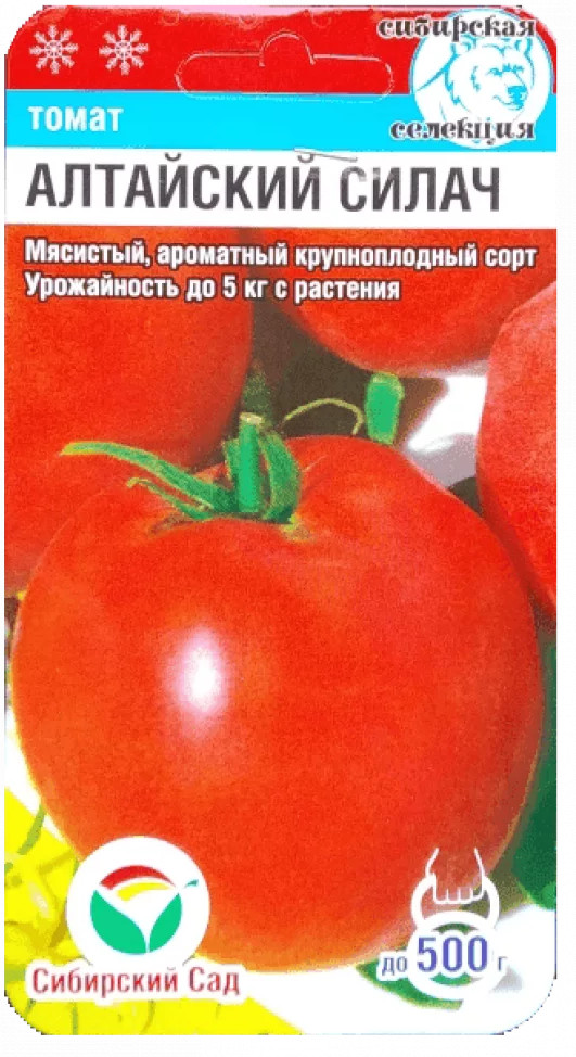 Томат «Алтайский Силач» | Сибирский Сад