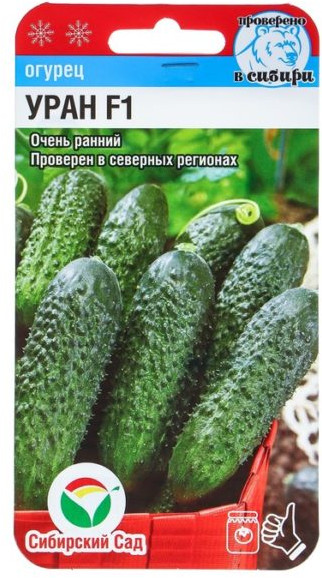 Огурец «Уран F1» | Сибирский Сад