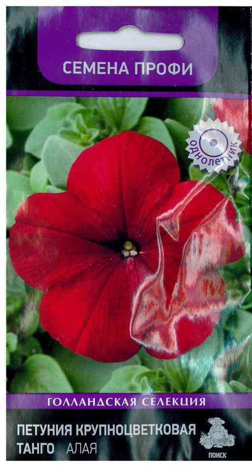 Петуния «Танго Алая» | Поиск