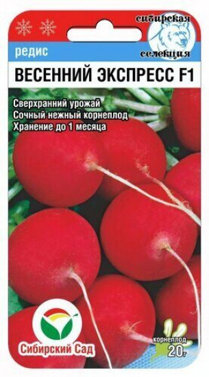 Редис «Весенний Экспресс F1»