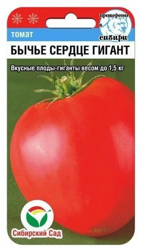 Томат «Бычье сердце гигант» | Сибирский Сад