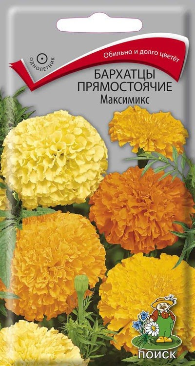 Бархатцы прямостоячие «Максимикс» | Поиск