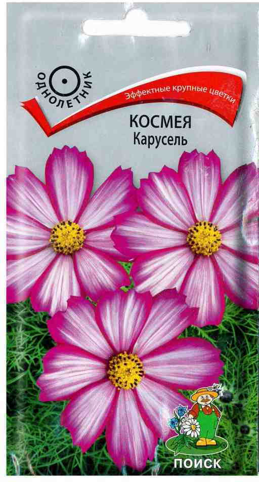 Космея «Карусель» | Поиск