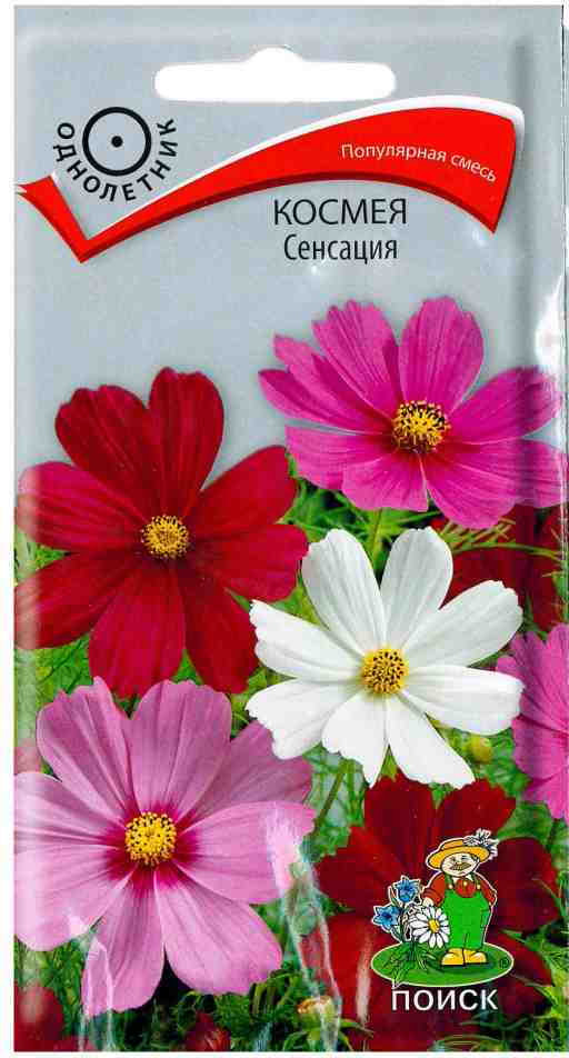 Космея «Сенсация» | Поиск