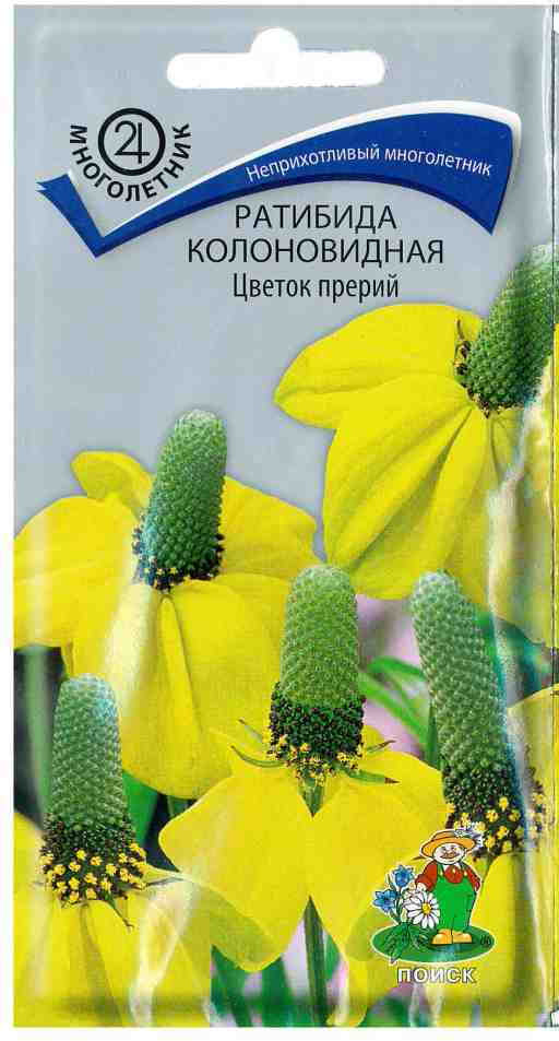 Ратибида «Цветок прерий колоновидная» | Поиск