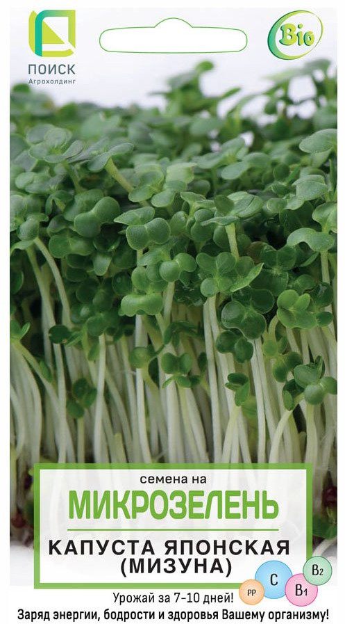 Микрозелень «Капуста японская (мизуна)» | Поиск
