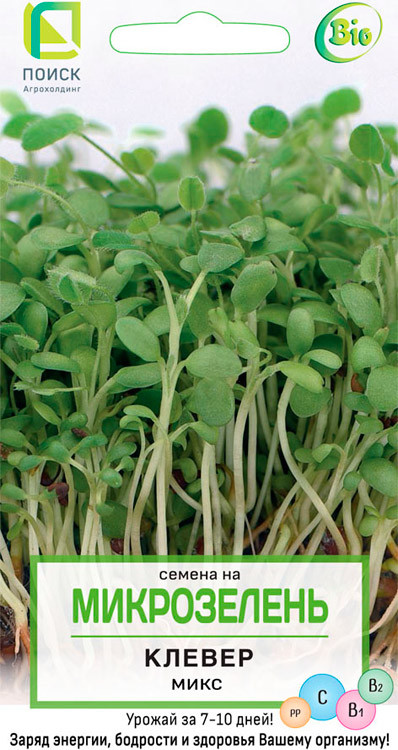 Микрозелень «Клевер Микс» | Поиск