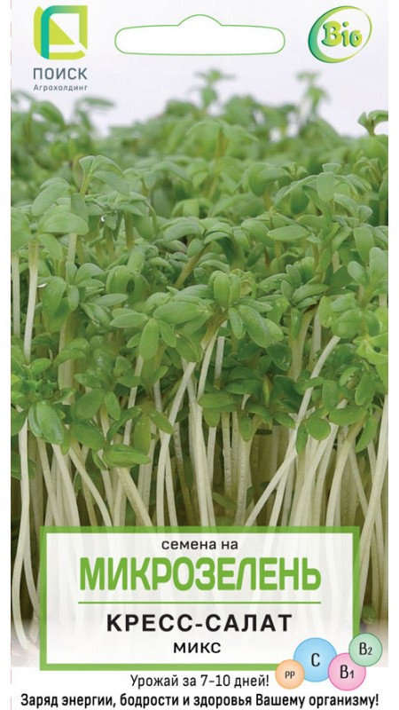 Микрозелень «Кресс - салат» | Поиск