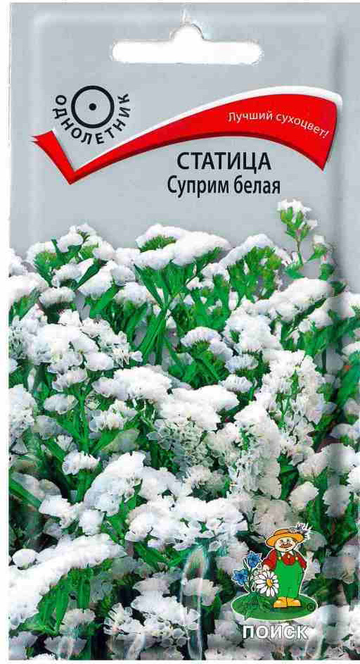 Статица «Суприм белая» | Поиск