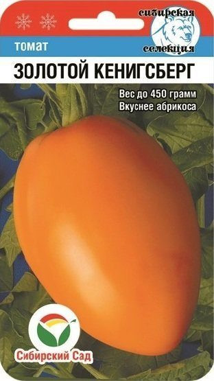 Томат «Золотой Кенигсберг» | Сибирский Сад