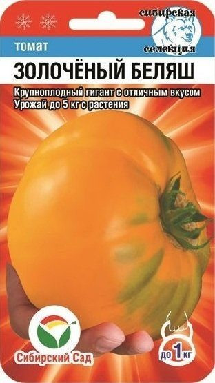 Томат «Золоченый беляш» | Сибирский Сад