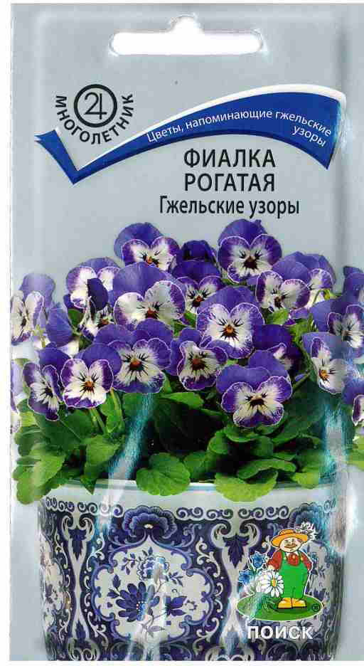Фиалка «Гжельские узоры рогатая» | Поиск