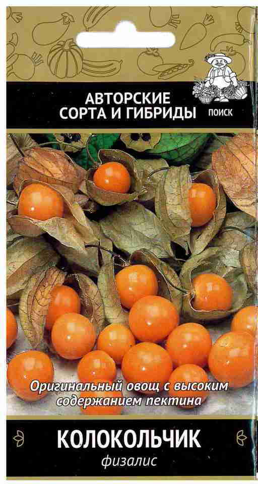 Физалис «Колокольчик» | Поиск