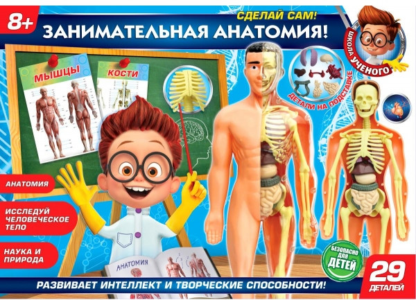 Набор для проведения опытов «Тело человека 3D-пазл» | Школа учёного | Играем вместе