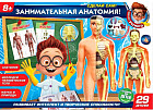 Набор для проведения опытов «Тело человека 3D-пазл»