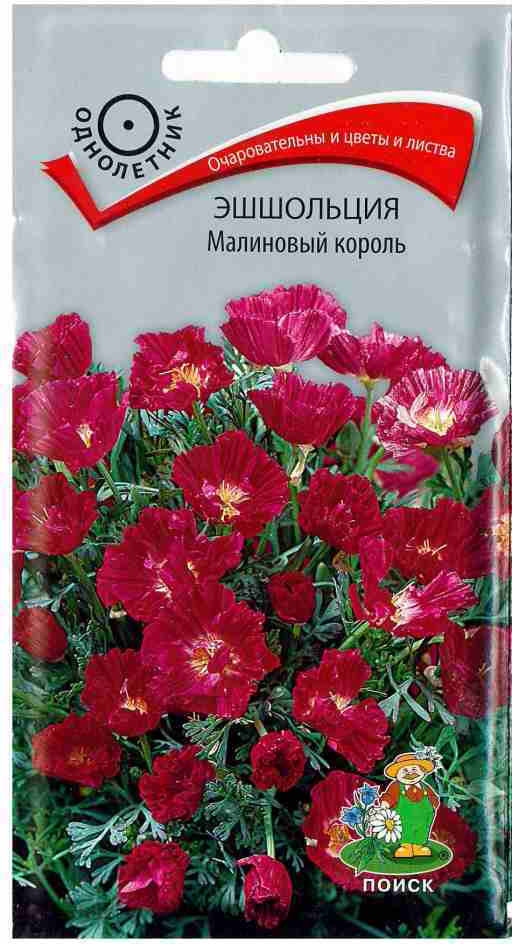 Эшшольция «Малиновый король» | Поиск