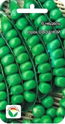 Горох «6 недель»