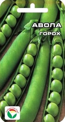 Горох «Авола»