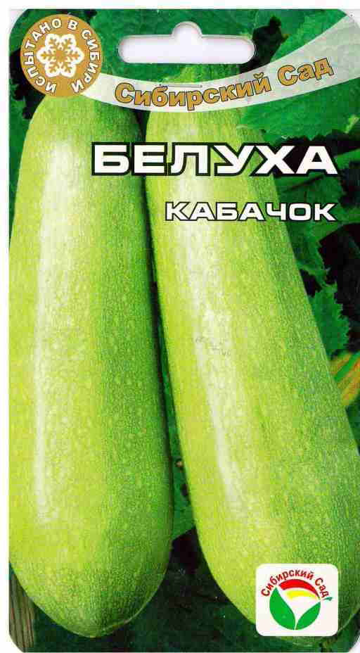Кабачок «Белуха» | Сибирский Сад