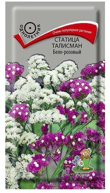 Статица «Талисман бело-розовый» | Поиск