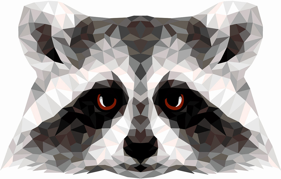 Картина по номерам «Енот» | Русская живопись