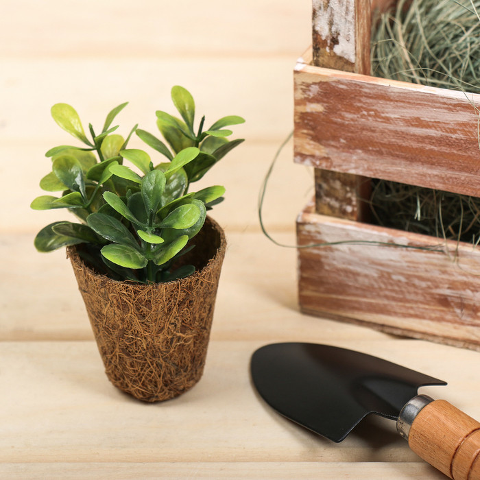 Горшок кокосовый