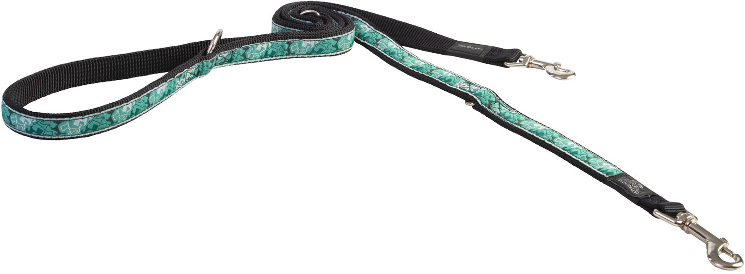 Поводок-перестежка для собак «Мятное настроение» | Fancy Dress | Rogz