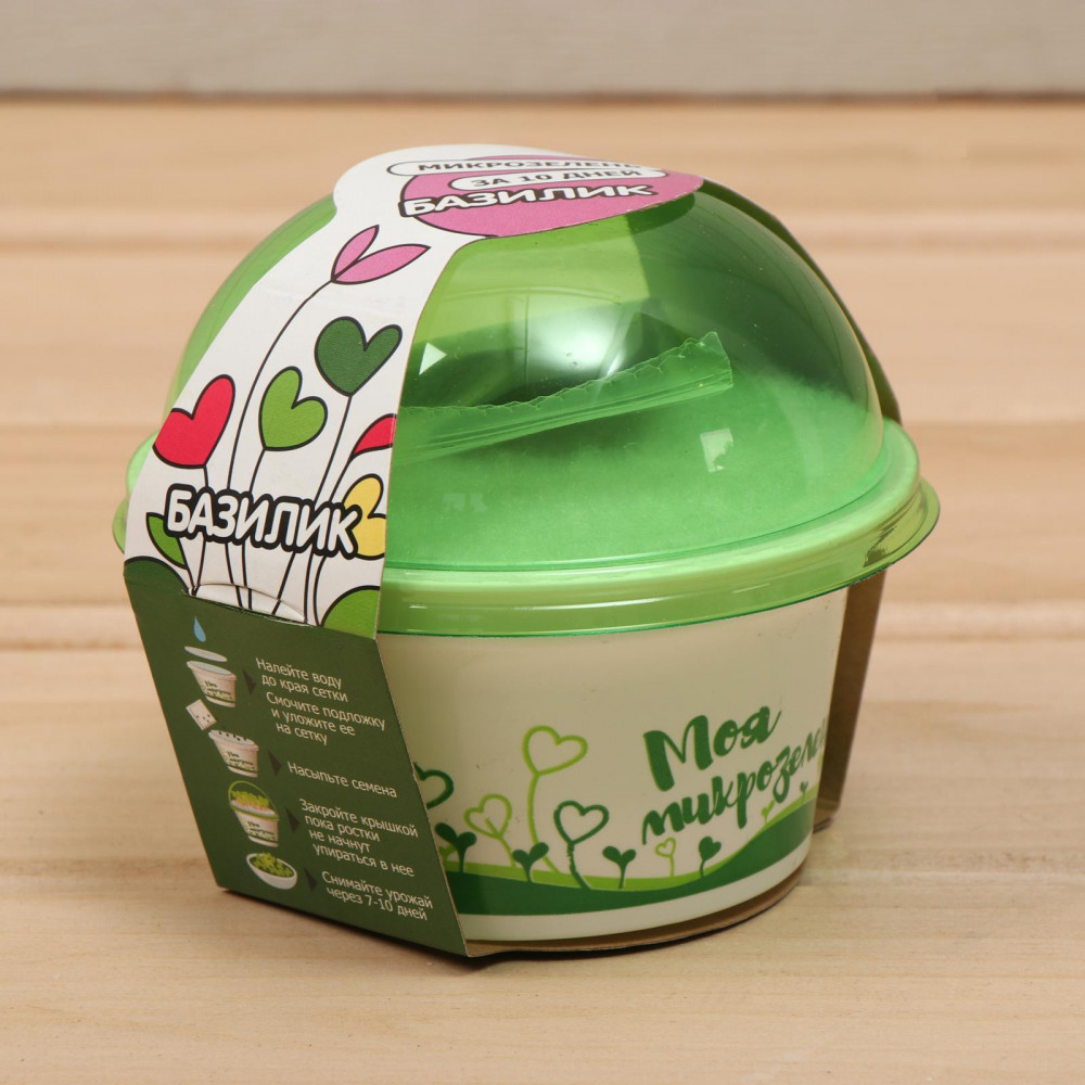 Набор для выращивания «Моя микрозелень. Базилик» | Здоровья Клад