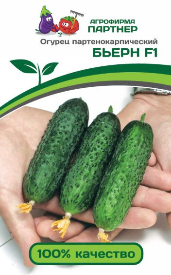 Огурец «Бьёрн F1» | Партнер