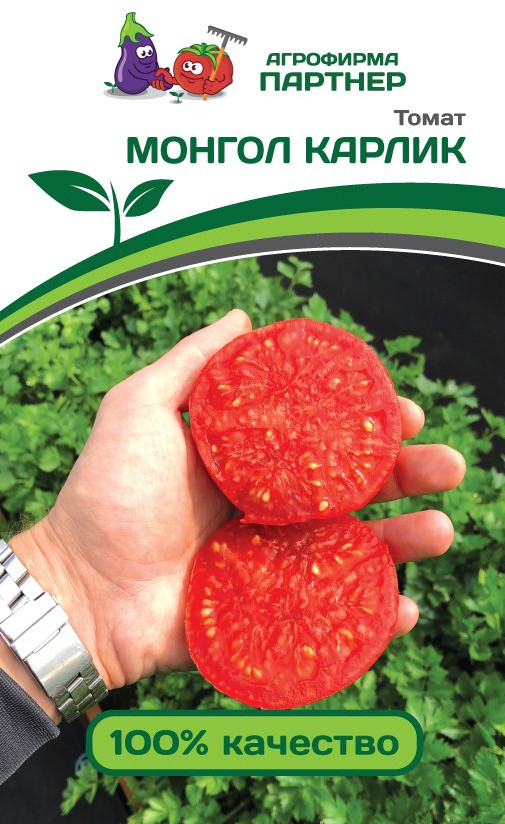 Томат «Монгол Карлик» | Партнер