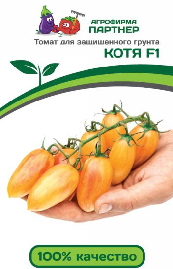 Томат «Котя F1» | Партнер