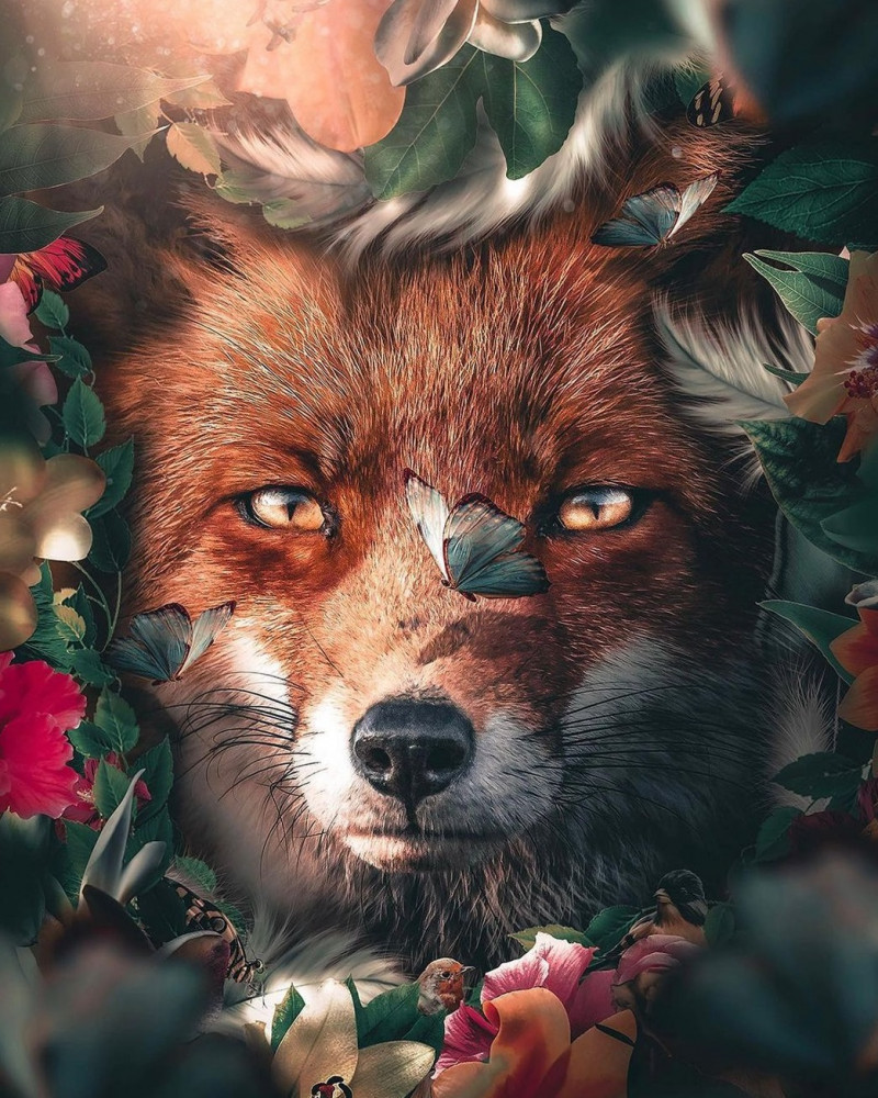 Картина по номерам «Лиса среди цветов и листьев» | Paintboy