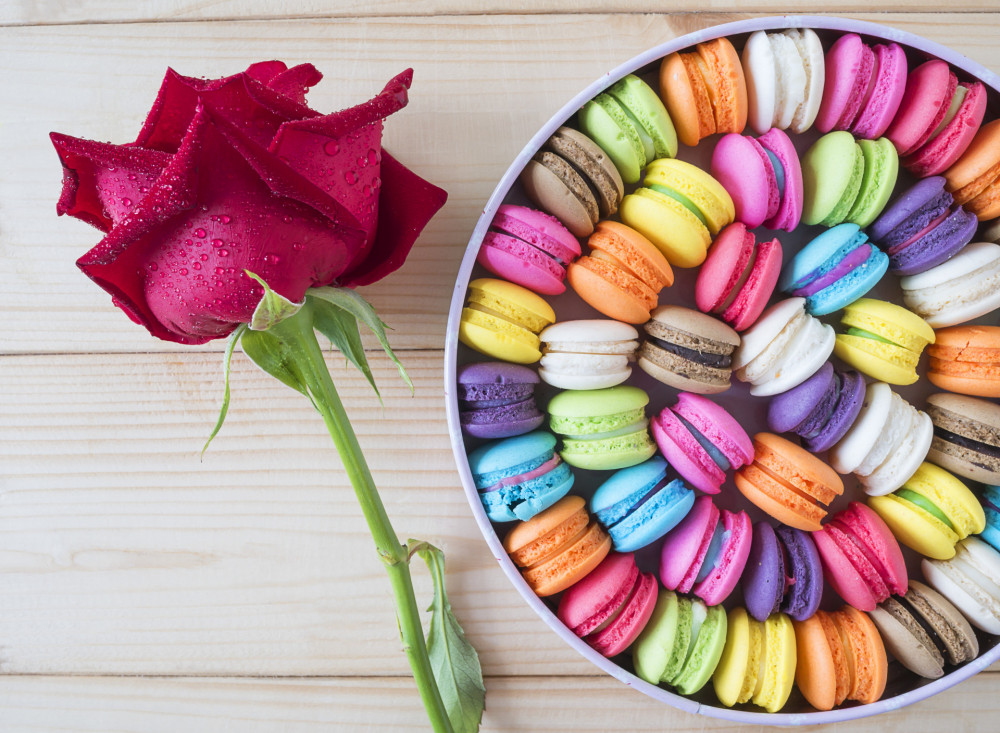 Мозаика алмазная «Макарони и роза» | Paintboy