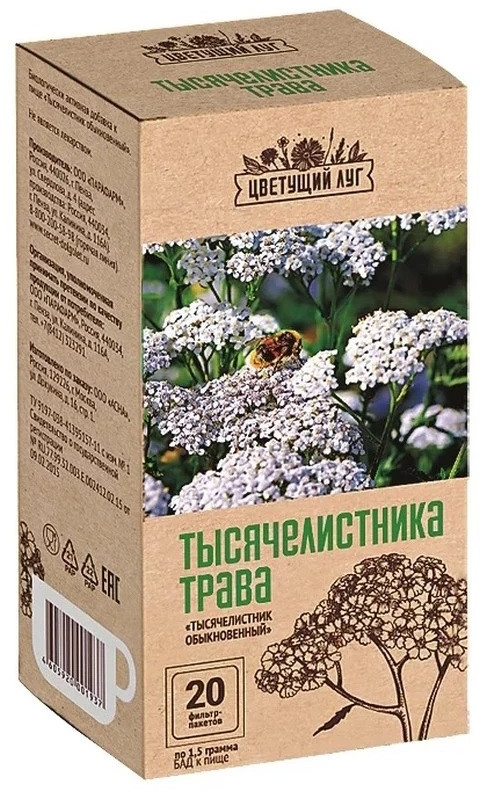 Трава тысячелистника | Цветущий Луг