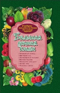Большая дачная книга