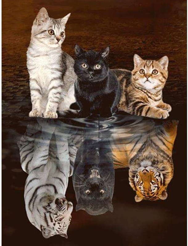 Картина по номерам «Внутренняя сила» | Paintboy