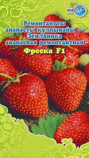 Земляника ремонтантная «Фреска F1» | Инвент+