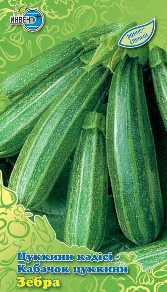 Кабачок цуккини «Зебра» | Инвент+