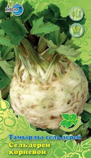 Сельдерей корневой