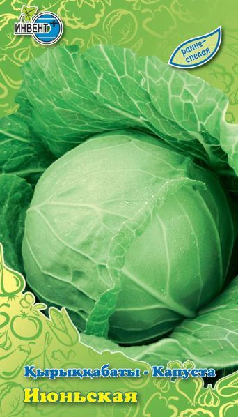 Капуста белокочанная «Июньская» | Инвент+