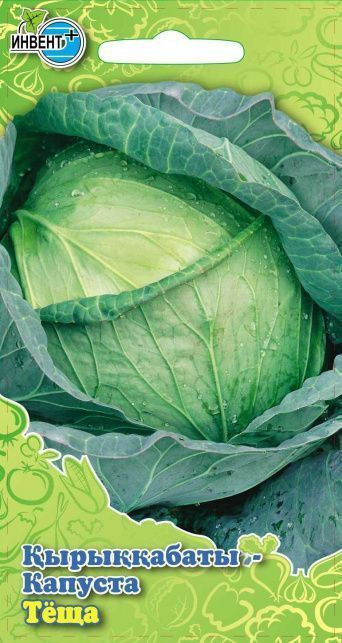 Капуста белокочанная «Теща» | Инвент+