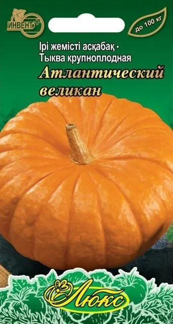 Тыква «Атлантический великан» | Инвент+