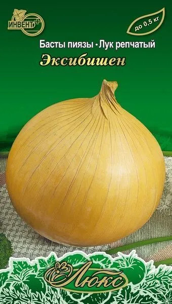 Лук репчатый «Эксибишен» | Люкс | Инвент+
